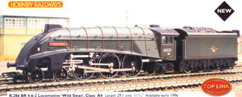 Class A4 Locomotive - Wild Swan