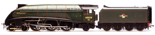 Class A4 Locomotive - Woodcock