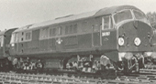 Class 29